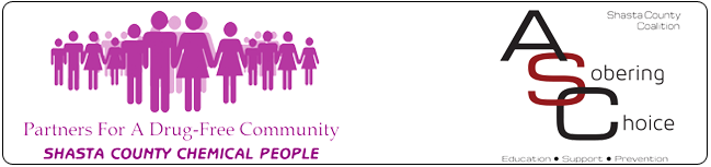 ASC | Partners for a drug-free comunity logo